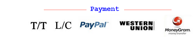 payment.png